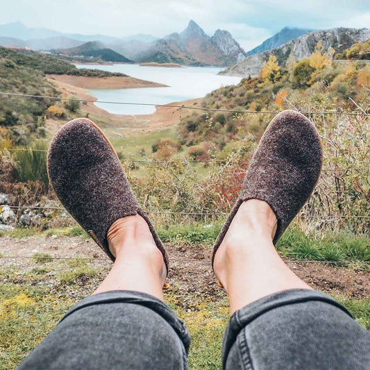 Doghammer Terrar Dahoam Wool Dark Brown