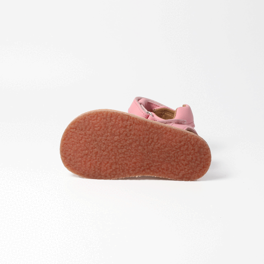 Blifestyle Belliana Rosa