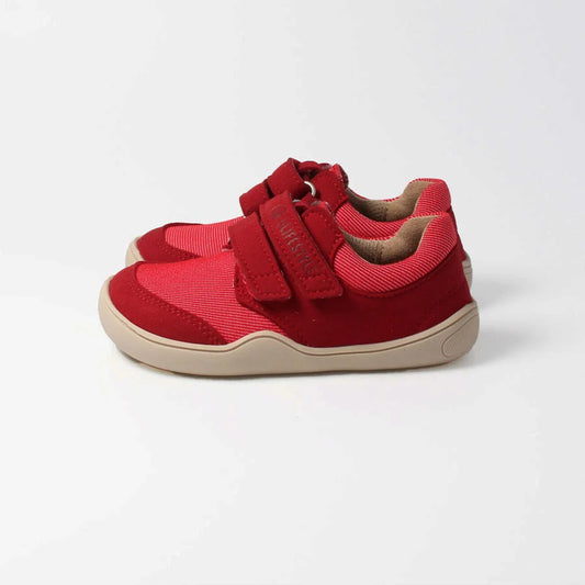 Blifestyle Crocodile Feuerrot