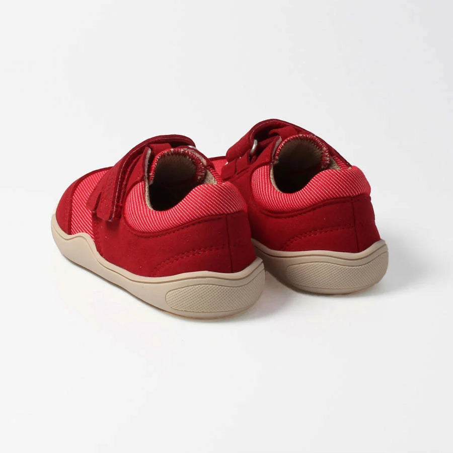 Blifestyle Crocodile Feuerrot