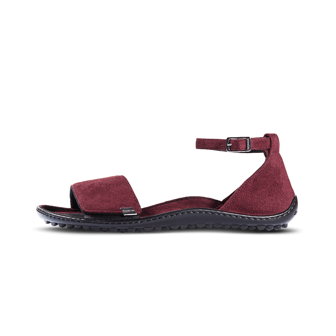 Leguano Jara Bordeaux
