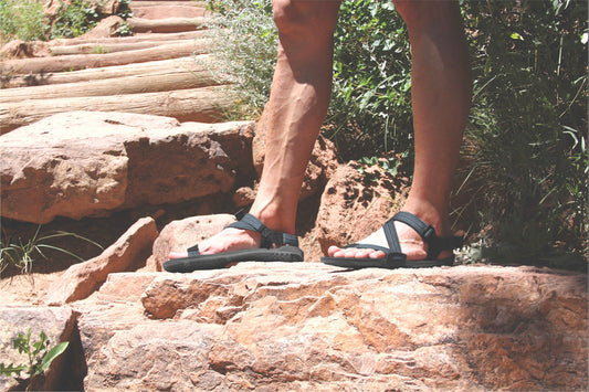 Xero Shoes Z-Trail EV Multi-Black