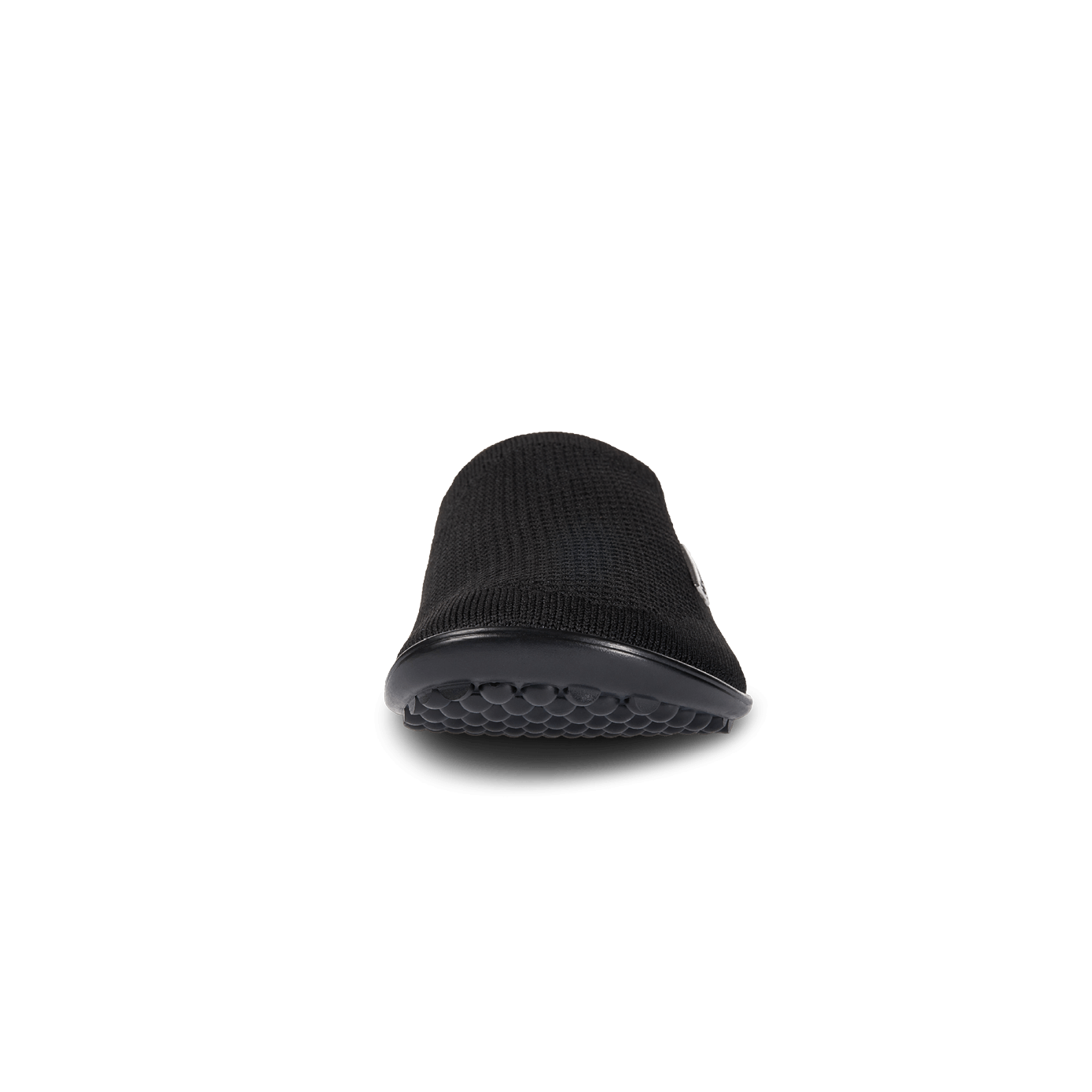 Leguano Scio Black