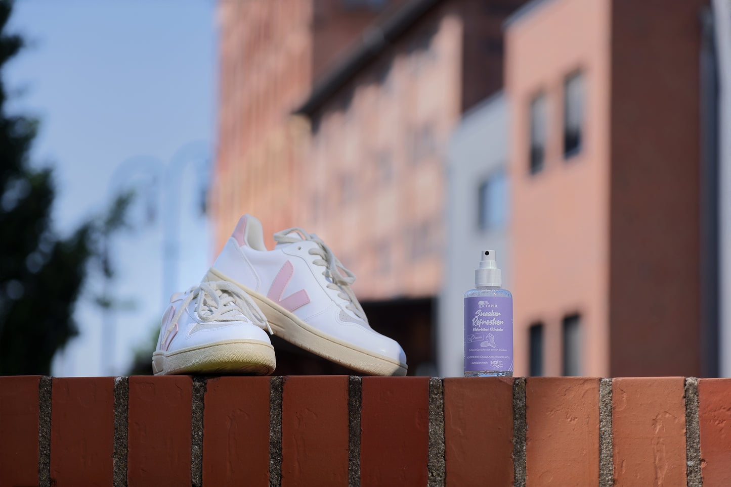 Tapir Sneaker Refresher